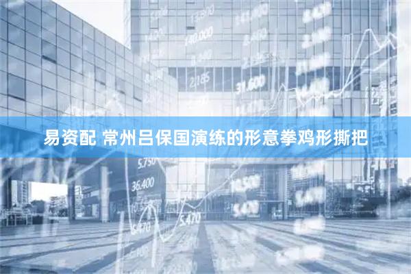 易资配 常州吕保国演练的形意拳鸡形撕把
